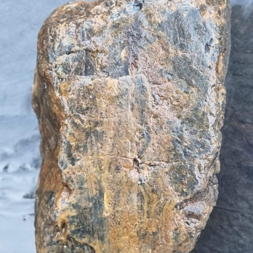 Stromatolite 2192g