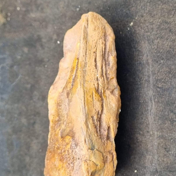 Stromatolite 175g