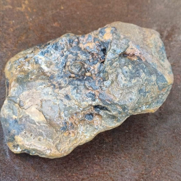 Stromatolite 1032 g