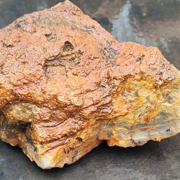 Stromatolite 2633g