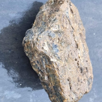 Stromatolite 2363g