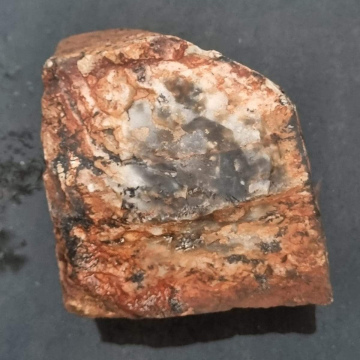 Agatized Wood 958g