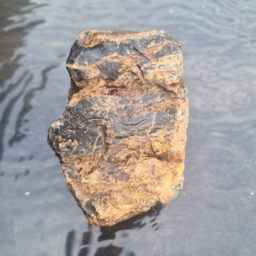 Petrified Wood 797g