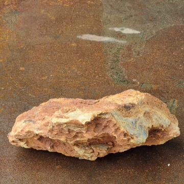 Stromatolite 1912 g