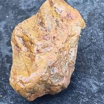 Petrified Wood.261g