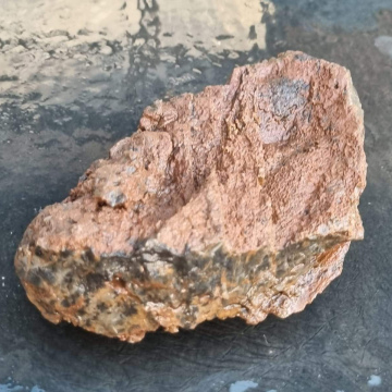Stromatolite 744g